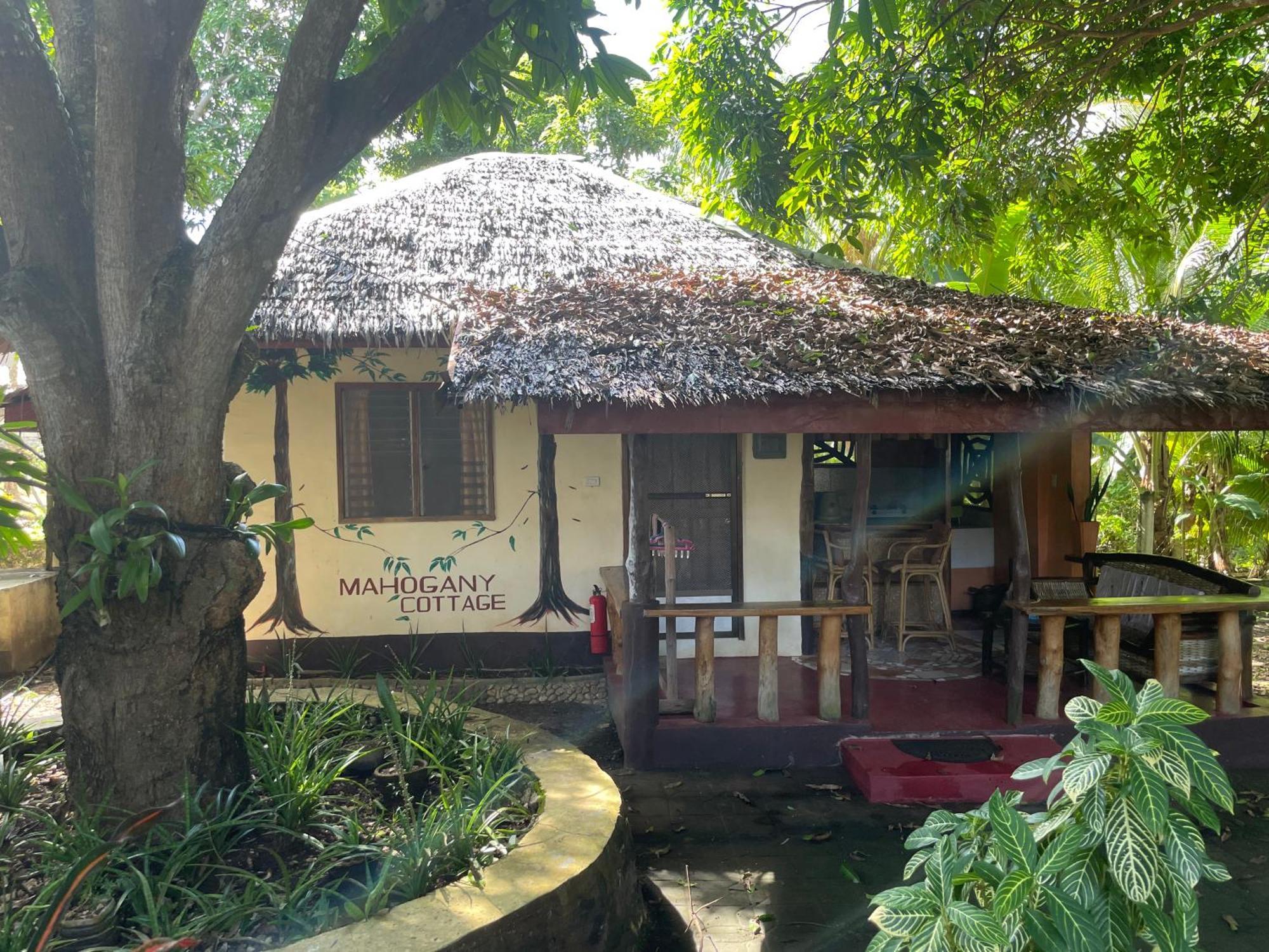 Chelle'S Guesthouse And Backpackers Siquijor Eksteriør billede